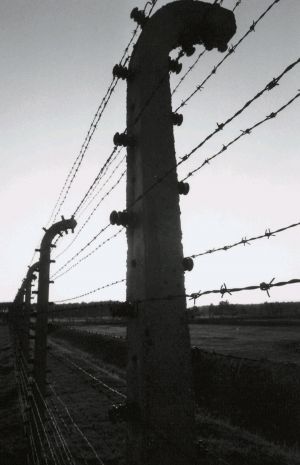 2022 01 26 ph g peteani