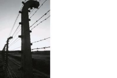 Convivere con Auschwitz